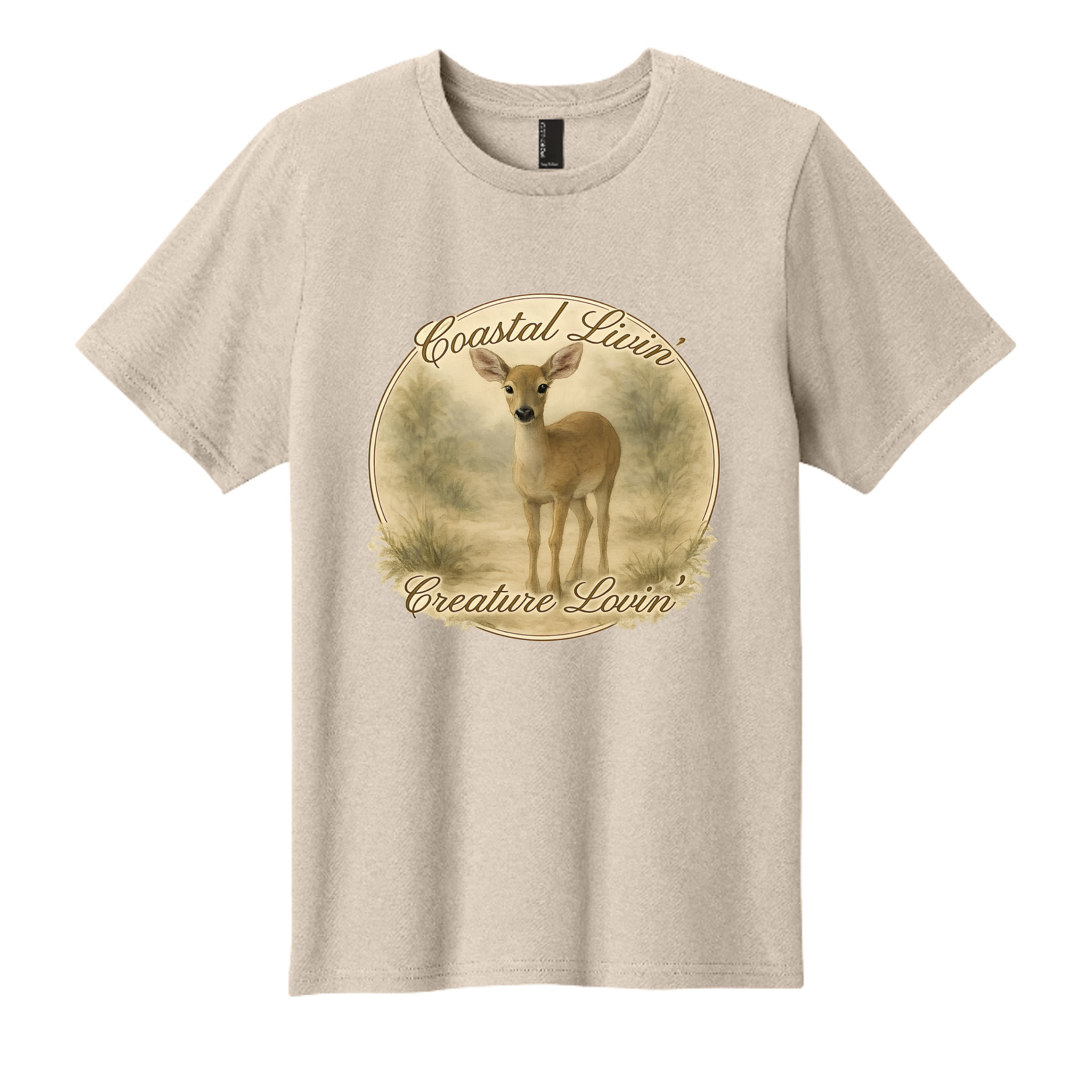 Light Sand - PC43Y - FRONT